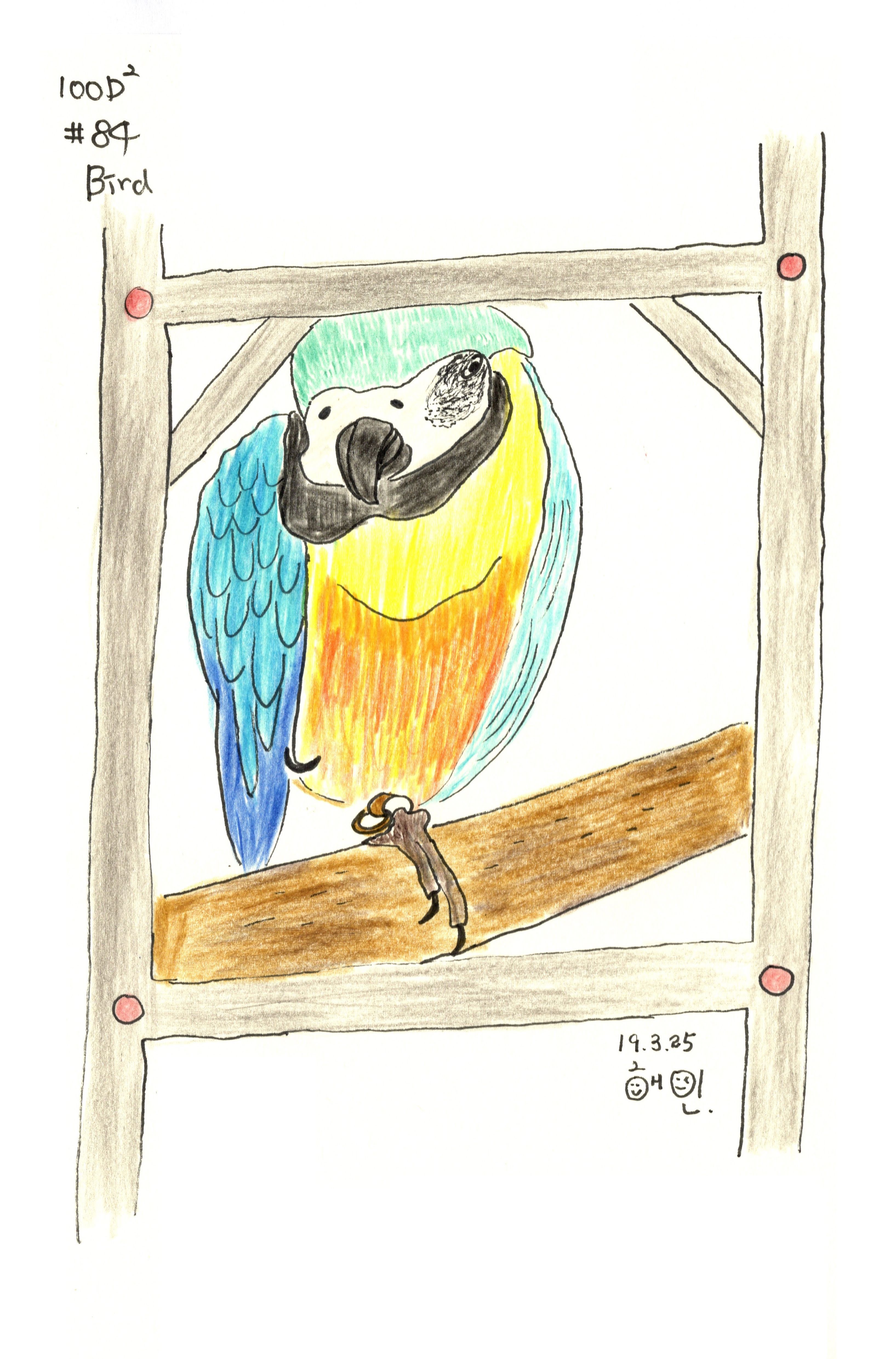 Portrait of a Parrot (앵무새의 초상)